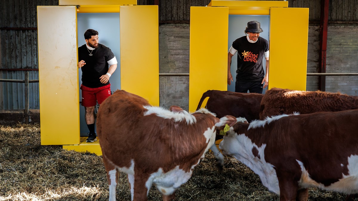 The Box Recommissioned in Denmark for a Second Season